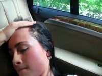 Sex with a hot bitch in a car