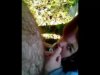 Blowjob in the car and in the forest