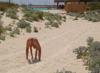 beach walker naked