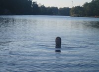 Naked by the lake