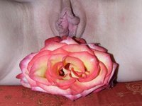 Pink pussy and stockings