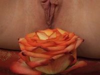 Pink pussy and stockings
