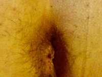 Small tit wife sucks cock and hairy pussy spread