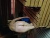 My mother  prostitute  Julia in sauna