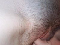 Close up hairy pussy action