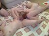 Real amateur couple homemade porn