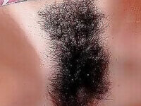 Simply hairy pussy