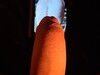 Cumtributes and cocktributes from our fans