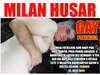 MILAN HUSAR GAY