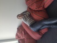 Mature German selfie nudes