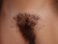 Hairy latina girl