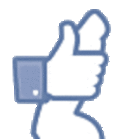 Profile Photos