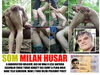 MILAN HUSAR SEXUALNY SLUHA HOMOSEXUALOV!!!! PLEASE REPOST!