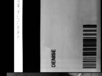 Denise Dube fat ass with ID card exposed