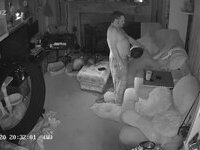 Tracey Stoute-Greene