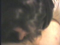 Stephanie