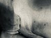 Michel dube giving a dom anal sex and fingering her pussy exposed