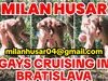 Gays cruising in Bratislava