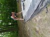 wife exposed while camping