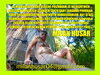 MILAN HUSAR GAYS CRUISING BRATISLAVA