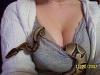 I love little snakes