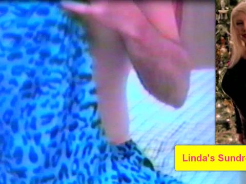 Play 'Linda's Assets'
