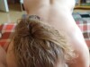 Amateur milf blowjob