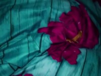 Woke her up with my hard cock deep in her cunt