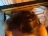 She begged for my cum on her face after deep throat fuck