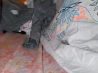 Smart slut loves throat fucking and hardcore anal sex