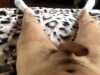 I finger fucked her and then she sucked and rode me until she was exhausted.
