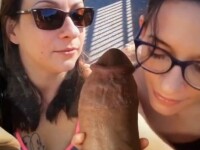 Two girls, one cock : blowjob dream come true (FFM POV)