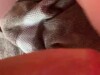 Olivia webslut fucked