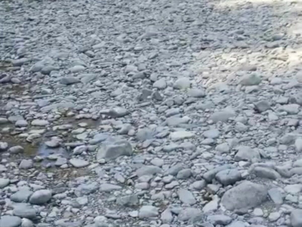 Play 'Peeing by the river'