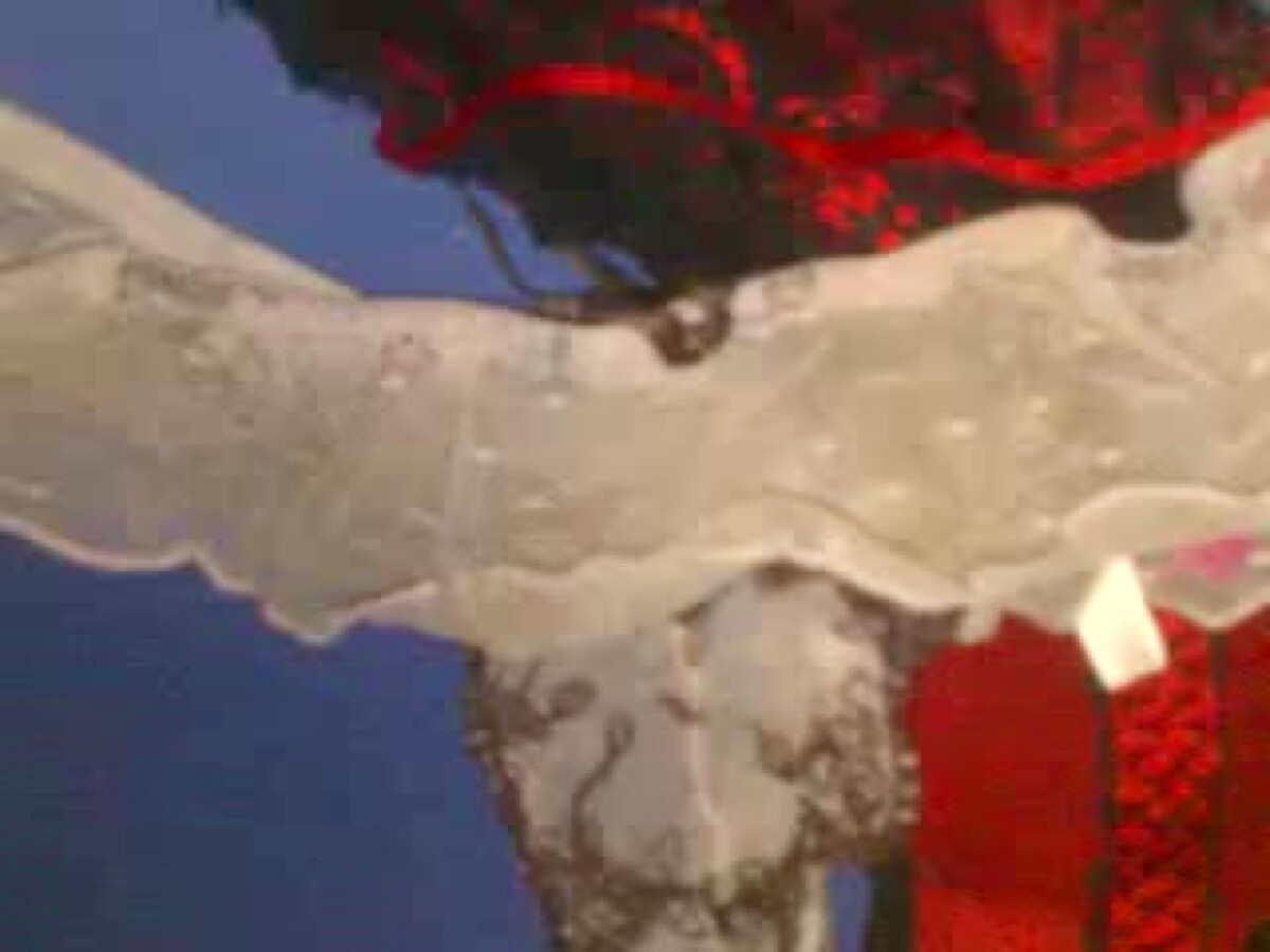 Play 'cum on sisters thongs'