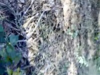 Жена Оля / Wife Olya