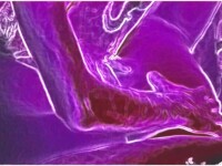 DEEP PURPLE VERY HOT CARTOON VIDEO