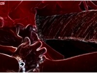 hot cock suck video in deep red screen