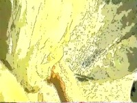 YELLOW SCREEN CARTOON BLOW JOB