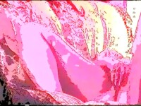 hot pink screen video