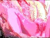 hot pink screen video