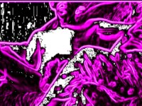 deep purple hot cartoon video