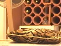 lots of hot sex on my homemacde video