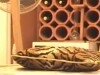 lots of hot sex on my homemacde video