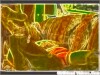 VERY HOT GREEN SCREEN VIDEO
