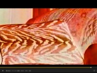 ON HER BACK HOT CARTOON SEX VIDEO