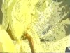 ON HER KNEES SUCKING MY COCK IN DEEP PURPLE SCREEN
