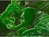 SUPER HOT GREEN SCREEN CARTOON COCK SUCK