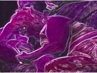 DEEP PURPLE HOT COCK SUCK