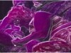DEEP PURPLE HOT COCK SUCK